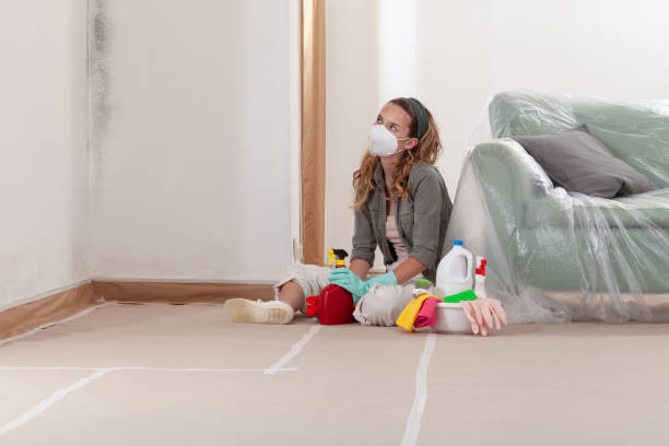 Reliable Mold Remediation contractor in Melrose, MN by 24 Hour Mold Removal